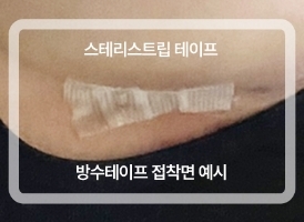 테이트 사진