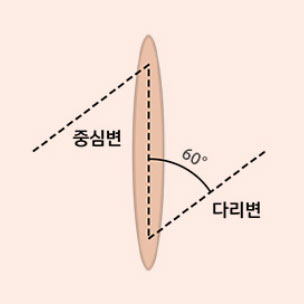콘텐츠 이미지