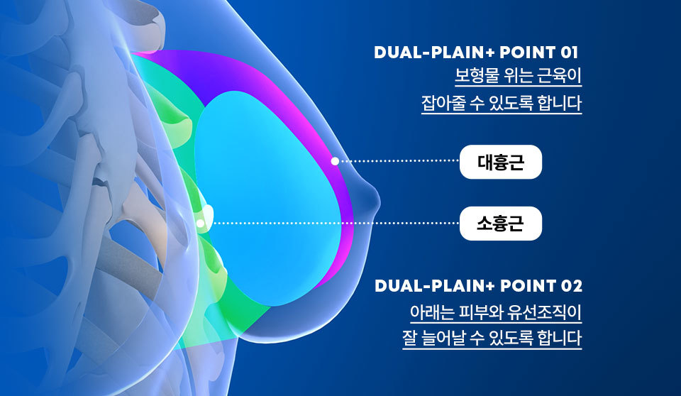 콘텐츠 이미지