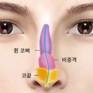 콘텐츠 이미지